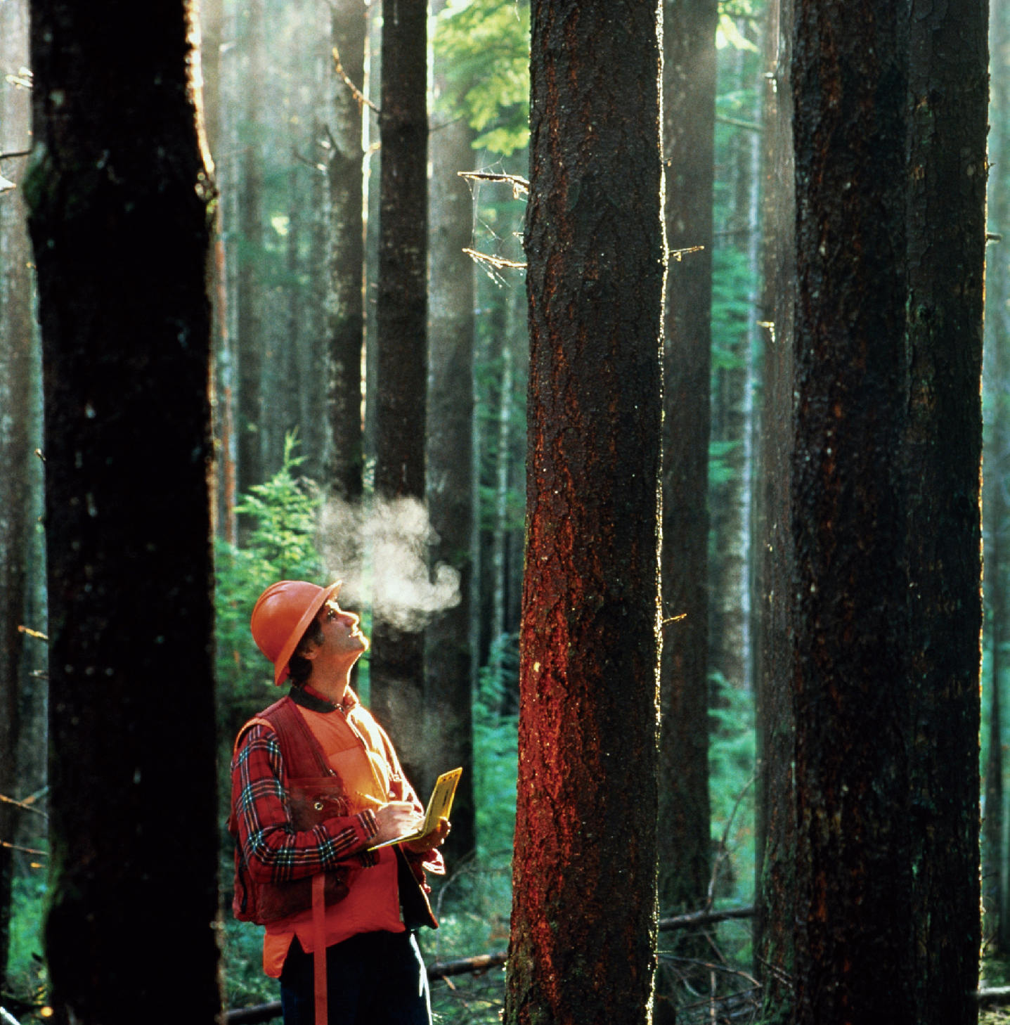 企业价值观<br/>履行社会责任,实现可持续性发展。